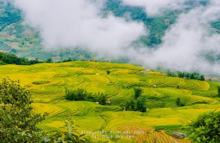 SIÊU PHẨM SAPA 2 VỊ TRÍ ĐẮC ĐỊA-ĐÓN SÓNG ĐẦU TIÊN TẠI Y TÝ,VIEW SĂN MÂY